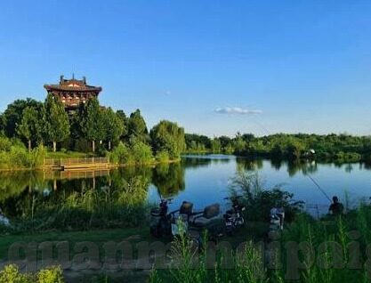 91制片厂果冻传媒-91制片厂与果冻传媒，数字时代的文化交汇与内容创新