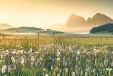 丁香六月成人在线视频-丁香六月，成人在线视频的理性审视