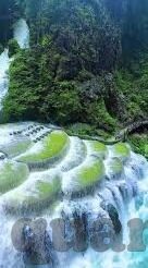 果冻 传媒-传媒新视角，果冻的奇妙旅程