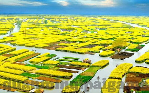 http:麻豆视频.com-通往想象之境，探秘网络视频世界的魅力