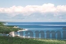 蜜桃一区二区三区-蜜桃乐园的甜蜜探索，一区、二区、三区的奇妙之旅