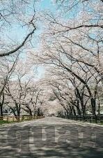 日韩情色av-日韩情色AV，文化、艺术与争议的交织