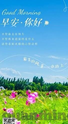 糖心v log官网入口-品味生活，解锁糖心v log官网入口的惊喜之旅