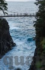 五月丁香成人视频-丁香花开，五月情深——成人视频的隐秘与真实